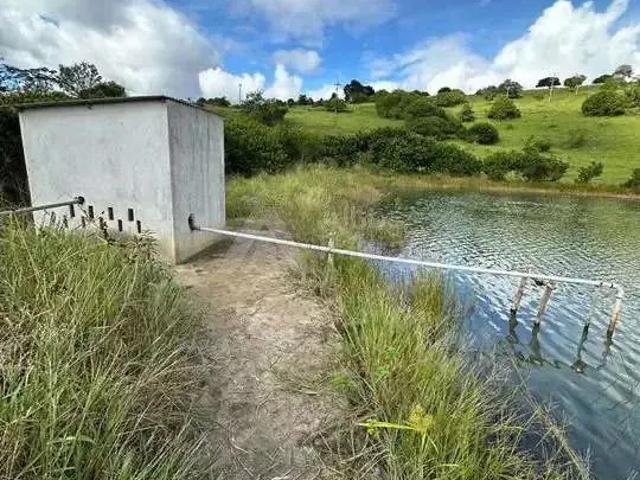 Sítio e chácara venda em Brejões, Região Nordeste