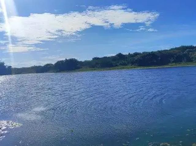 Sítio e chácara venda em Brejinho, Região Nordeste