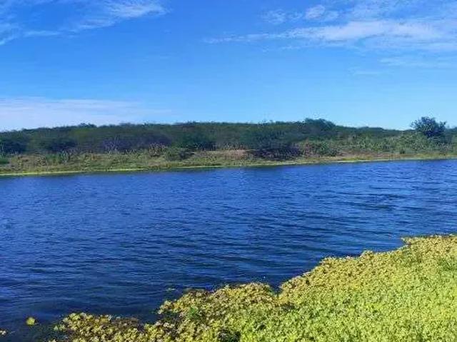 Sítio e chácara venda em Brejinho, Região Nordeste