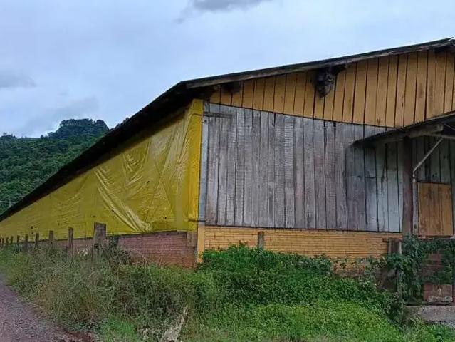 Sítio e chácara venda em Região Geográfica Imediata de Montenegro, Brochier