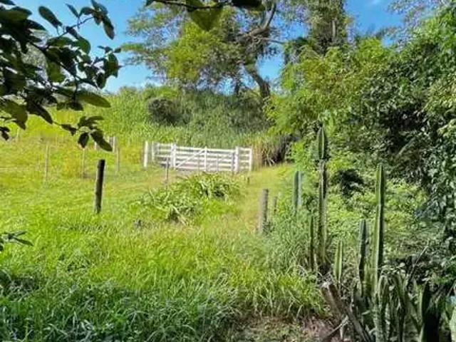 Sítio e chácara venda em Região Imediata de Jaú, Brotas