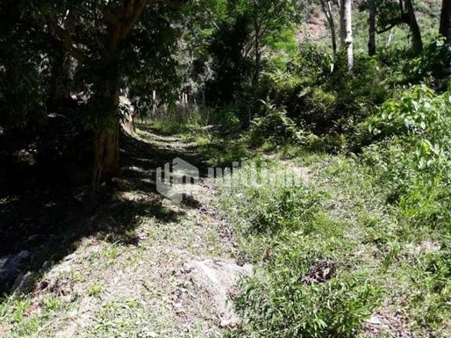 Sítio e chácara venda em Região Geográfica Imediata de Brusque, Brusque