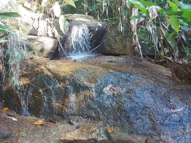 Sítio e chácara venda em Região Geográfica Imediata de Brusque, Brusque