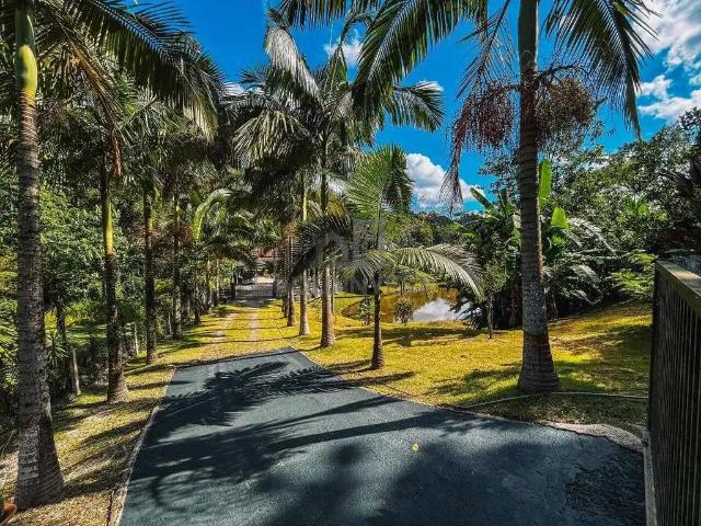 Sítio e chácara venda em Região Geográfica Imediata de Brusque, Brusque