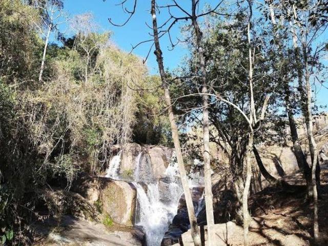 Sítio e chácara venda em Bueno Brandão, Região Geográfica Intermediária de Pouso Alegre