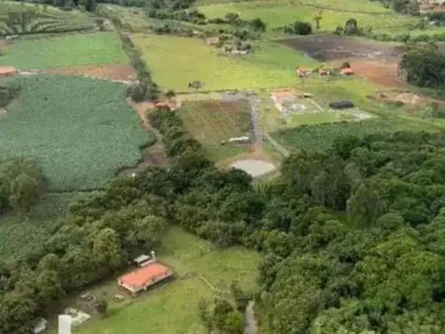 Sítio e chácara venda em Bueno Brandão
