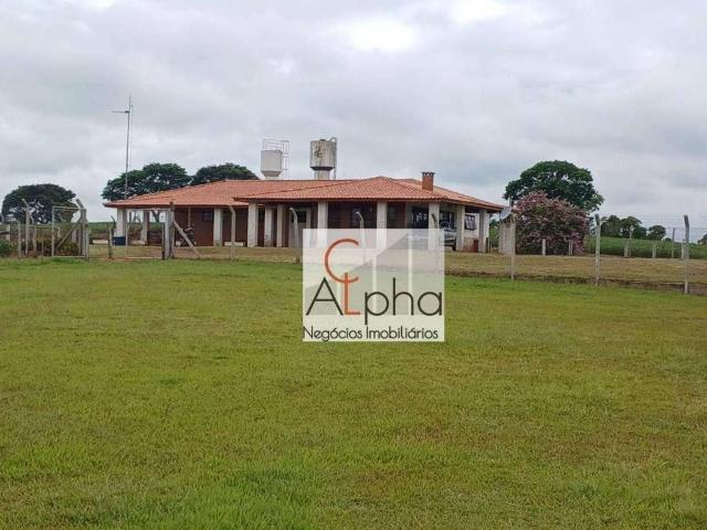 Sítio e chácara venda em Buri