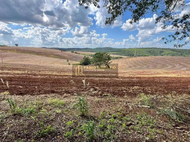 Sítio e chácara venda em Região Imediata de Itapeva, Buri
