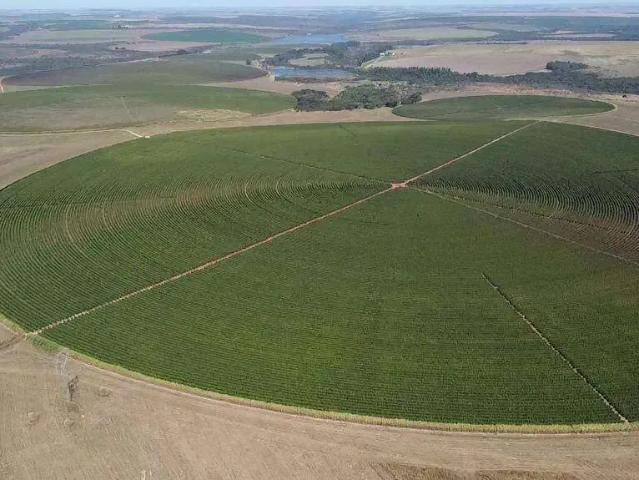 Sítio e chácara venda em Região Geográfica Imediata de Unaí, Região Integrada de Desenvolvimento do Distrito Federal e Entorno