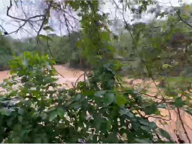 Sítio e chácara venda em Região Geográfica Imediata de Unaí, Região Integrada de Desenvolvimento do Distrito Federal e Entorno