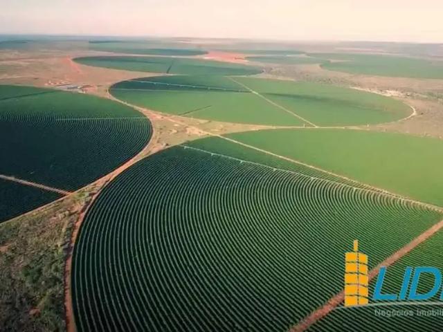 Sítio e chácara venda em Região Geográfica Imediata de Pirapora, Buritizeiro