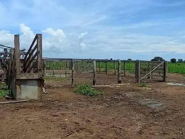 Sítio e chácara venda em Região Geográfica Imediata de Pirapora, Buritizeiro
