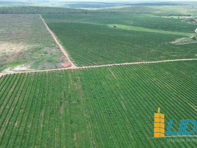 Sítio e chácara venda em Região Geográfica Imediata de Pirapora, Buritizeiro