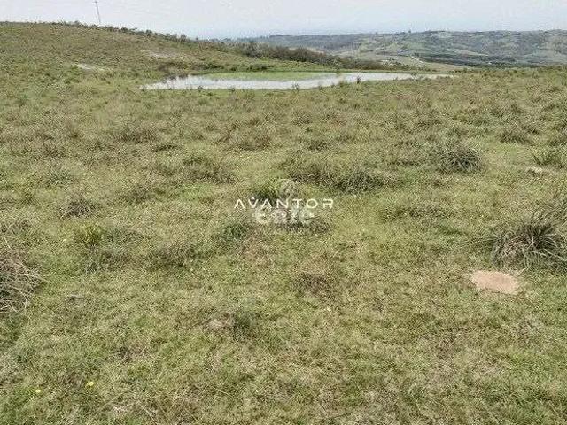 Sítio e chácara venda em Região Geográfica Imediata de São Gabriel - Caçapava do Sul, Cacapava do Sul