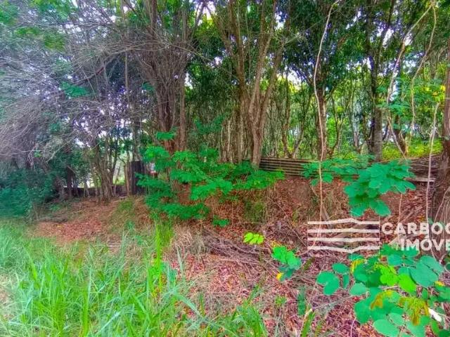 Sítio e chácara venda em Região Imediata de São José dos Campos, Região Metropolitana do Vale do Paraíba e Litoral Norte