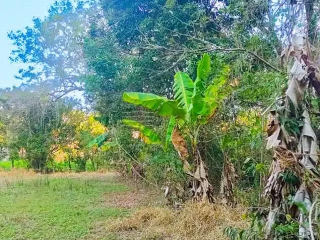 Sítio e chácara venda em Região Imediata de São José dos Campos, Região Metropolitana do Vale do Paraíba e Litoral Norte