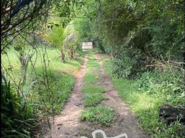 Sítio e chácara venda em Caçapava