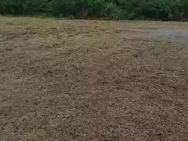 Sítio e chácara venda em Jambeiro