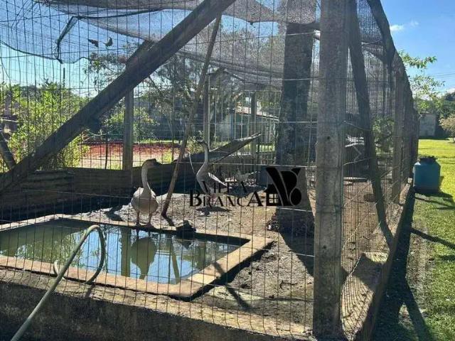 Sítio e chácara venda em Jardim Caçapava, Caçapava