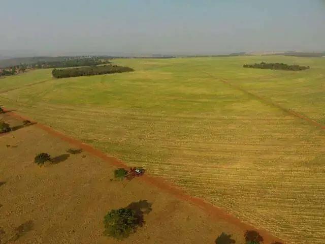 Sítio e chácara venda em Região Geográfica Imediata de Rio Verde, Caçu