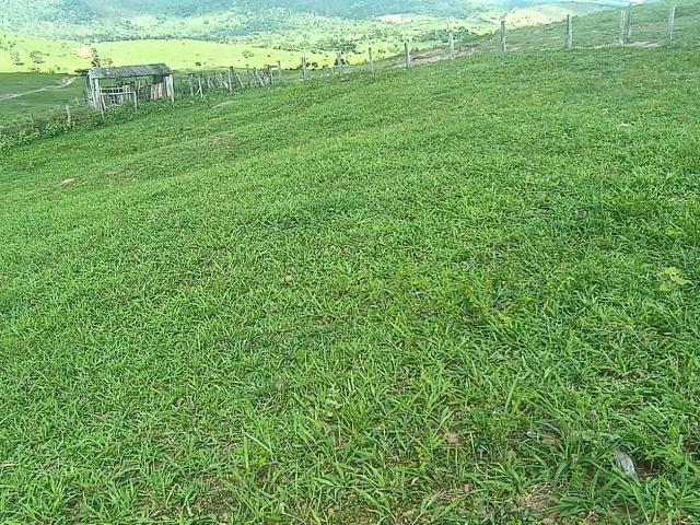 Sítio e chácara venda em Novo Horizonte, Juazeiro