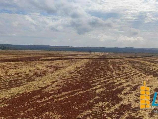 Sítio e chácara venda em Cabeceiras, Região Geográfica Intermediária de Luziânia-Águas Lindas de Goiás