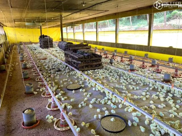 Sítio e chácara venda em Região Imediata de Jundiaí, Cabreuva