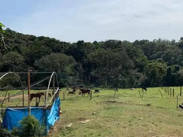 Sítio e chácara venda em Região Imediata de Jundiaí, Cabreuva