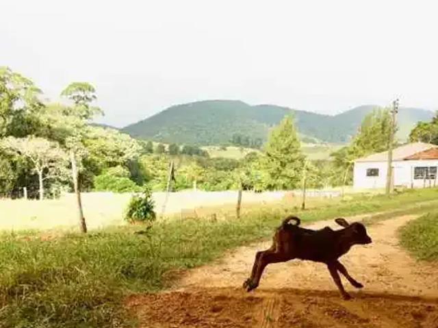 Sítio e chácara venda em Região Imediata de Jundiaí, Cabreuva
