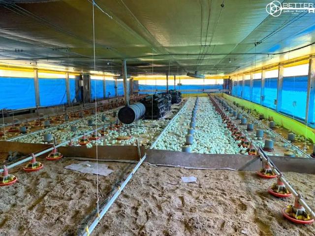 Sítio e chácara venda em Jacaré, Cabreuva