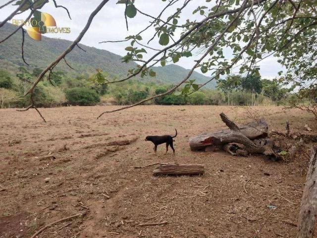 Sítio e chácara venda em Região Geográfica Imediata de Cáceres, Antônio João