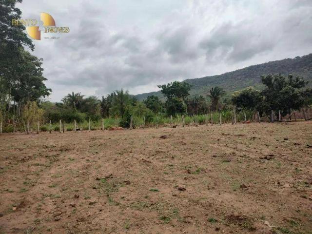 Sítio e chácara venda em Região Geográfica Imediata de Cáceres, Antônio João
