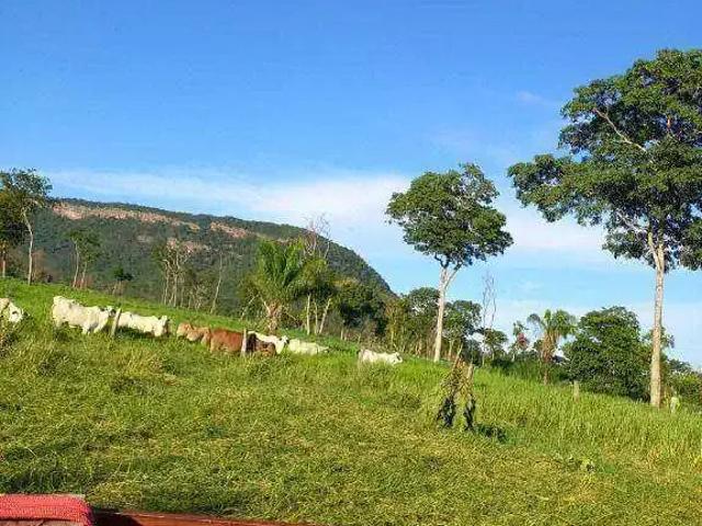 Sítio e chácara venda em Região Geográfica Imediata de Cáceres, Antônio João