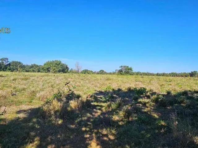 Sítio e chácara venda em Região Geográfica Imediata de Cáceres, Antônio João