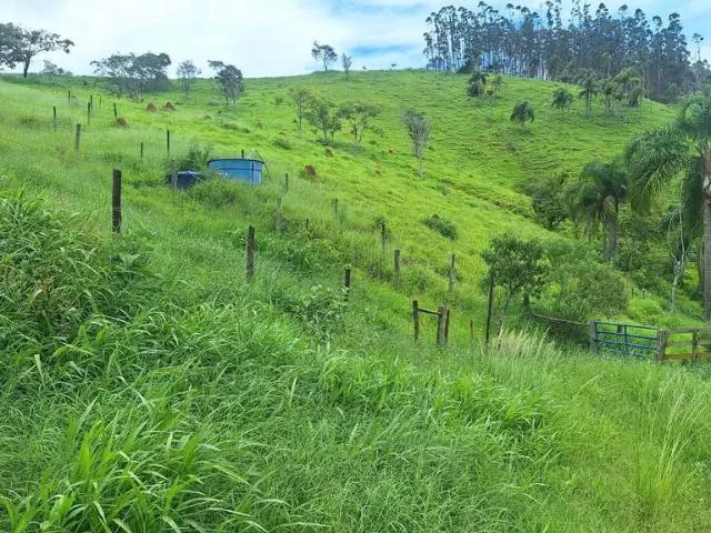 Sítio e chácara venda em Região Imediata de Cruzeiro, Região Metropolitana do Vale do Paraíba e Litoral Norte