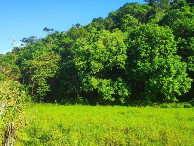 Sítio e chácara venda em Região Geográfica Imediata de Rio Bonito, Região Metropolitana do Rio de Janeiro