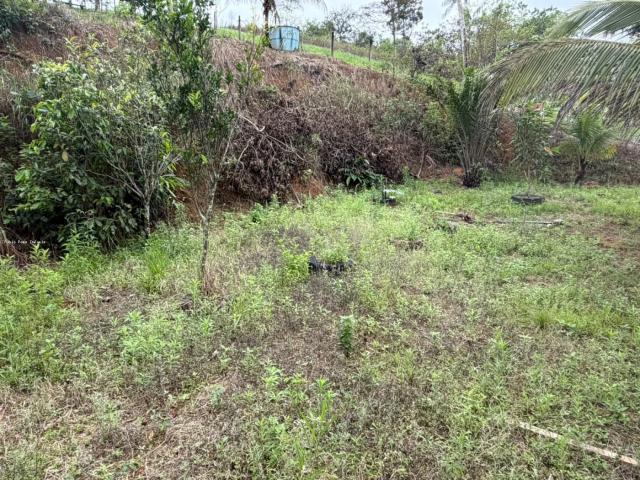 Sítio e chácara venda em Sambaetiba, Itaboraí