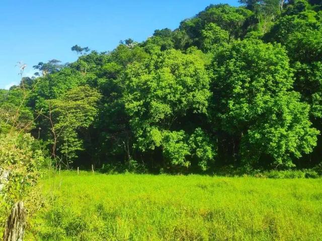 Sítio e chácara venda em Região Geográfica Imediata de Rio Bonito, Região Metropolitana do Rio de Janeiro
