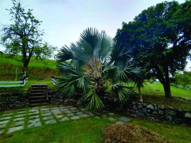 Sítio e chácara venda em Cachoeiras de Macacu, Região Geográfica Intermediária do Rio de Janeiro