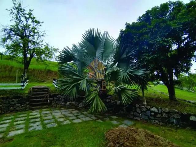 Sítio e chácara venda em Região Geográfica Imediata de Rio Bonito, Região Metropolitana do Rio de Janeiro