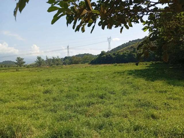Sítio e chácara venda em Região Geográfica Imediata de Rio Bonito, Região Metropolitana do Rio de Janeiro