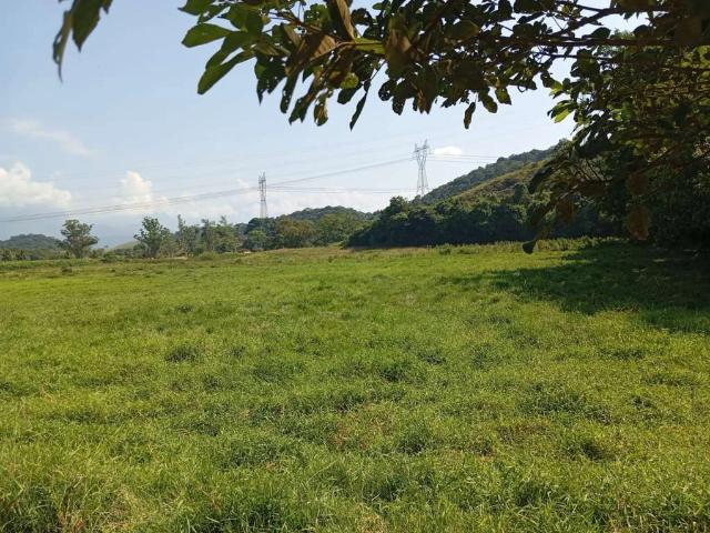Sítio e chácara venda em Cachoeiras de Macacu, Região Geográfica Intermediária do Rio de Janeiro