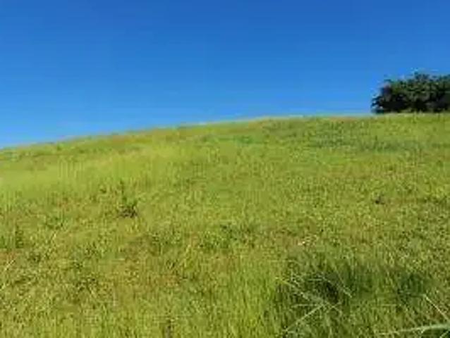 Sítio e chácara venda em Região Geográfica Imediata de Rio Bonito, Região Metropolitana do Rio de Janeiro
