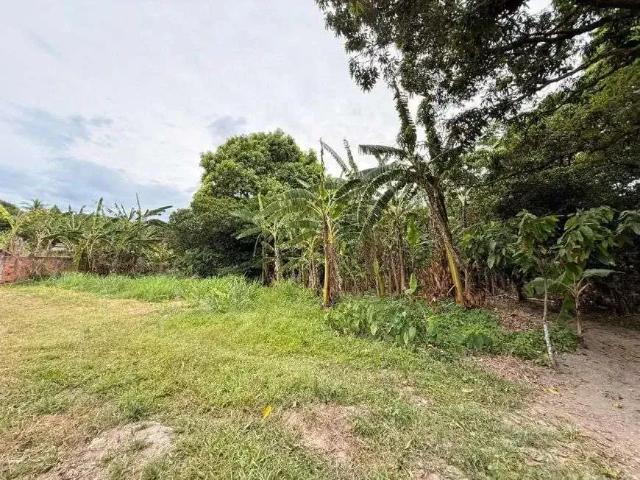 Sítio e chácara venda em Região Geográfica Imediata de Rio Bonito, Região Metropolitana do Rio de Janeiro