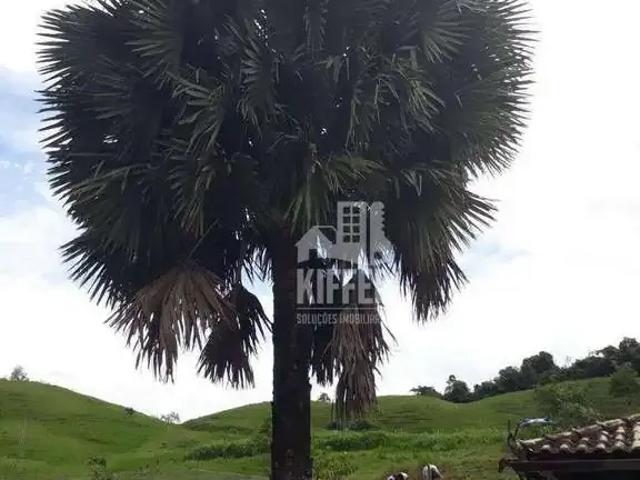 Sítio e chácara venda em Cachoeiras de Macacu, Rio de Janeiro