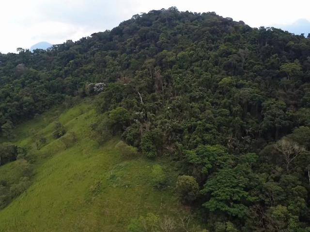 Sítio e chácara venda em Japuíba, Cachoeiras de Macacu