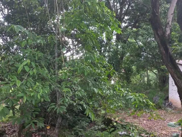 Sítio e chácara venda em Região Geográfica Imediata de Rio Bonito, Região Metropolitana do Rio de Janeiro