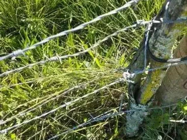 Sítio e chácara venda em Região Geográfica Imediata de Rio Bonito, Região Metropolitana do Rio de Janeiro
