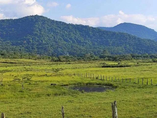Sítio e chácara venda em Região Geográfica Imediata de Rio Bonito, Região Metropolitana do Rio de Janeiro
