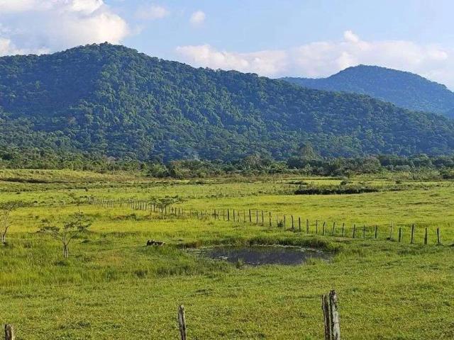 Sítio e chácara venda em Guapiaçu, Cachoeiras de Macacu